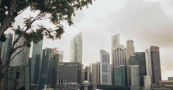 大数据主导未来