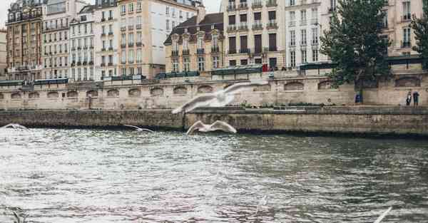 大数据监管的作用（监管大数据应用）