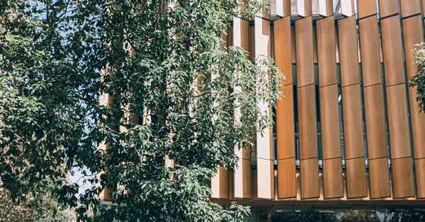 大数据监管的作用（监管大数据应用）