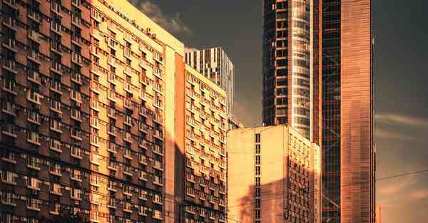 心理学和人工智能机器人：探索人类情感与思维的奥秘