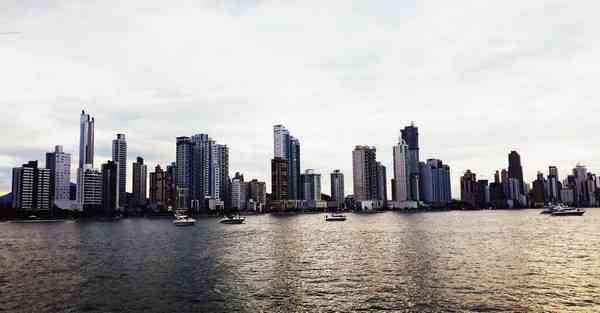 智能沙漠植树机器人成本