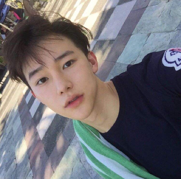 禄欣海育
