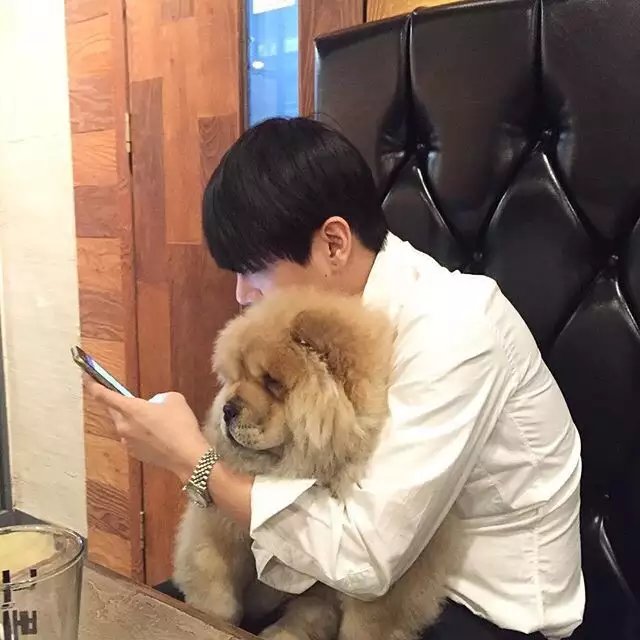 公羊倩顺菡