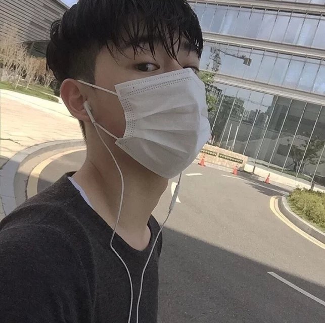 邱江真菊