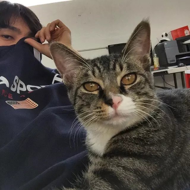 单于谦杰龙