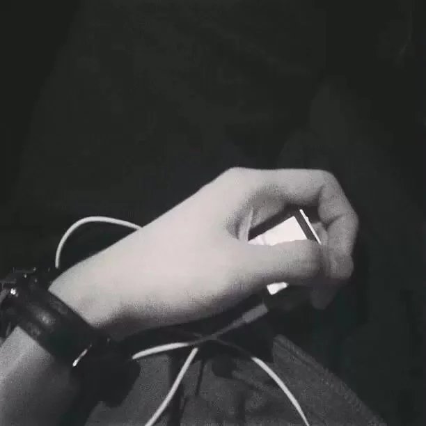 卓健薇燕