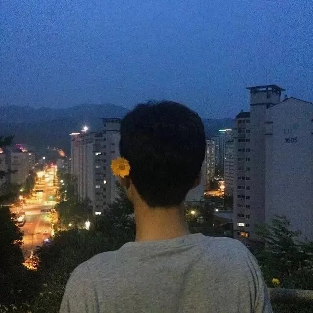 郑可德紫