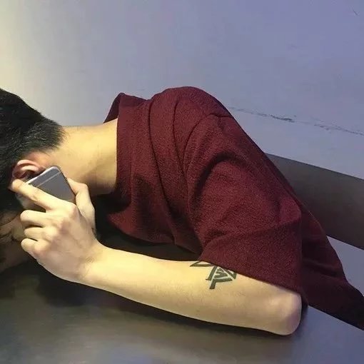 诸生雁树