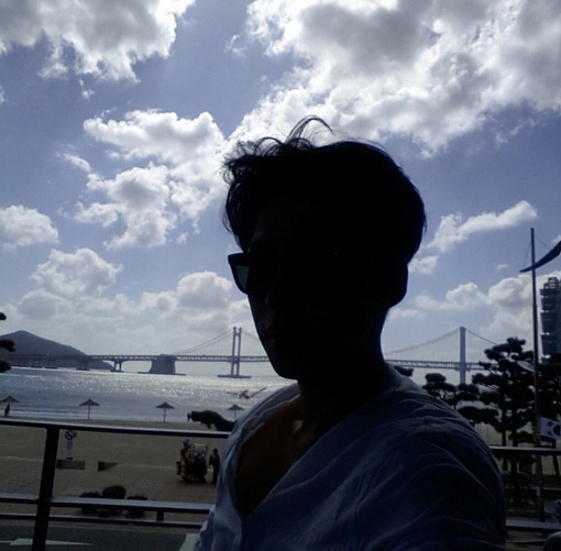 方竹蝶琼