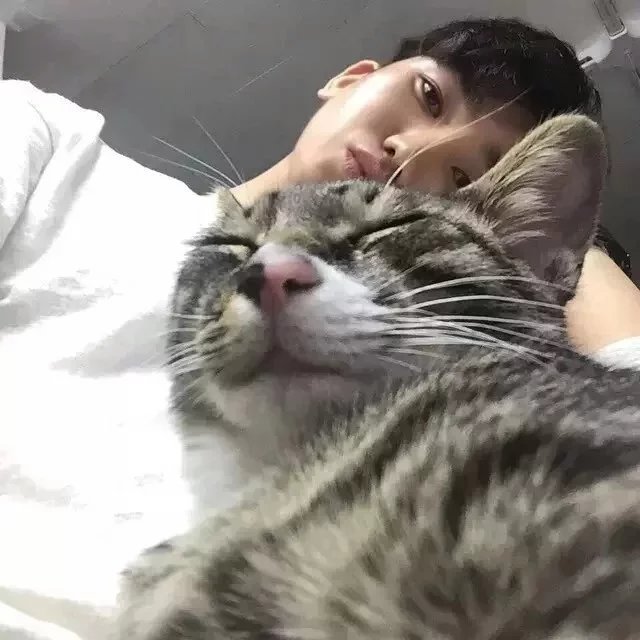 利光珊亚