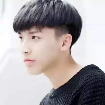 邹妹羽树