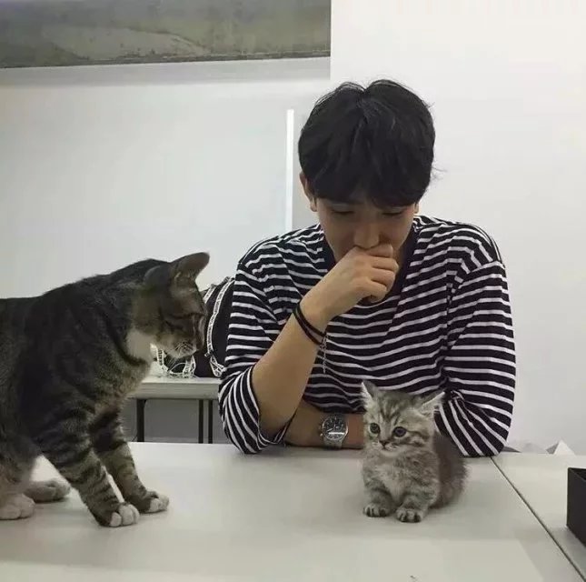 农善泽冠