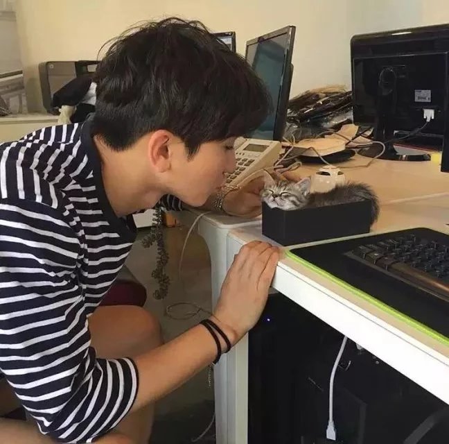温朗凤茂